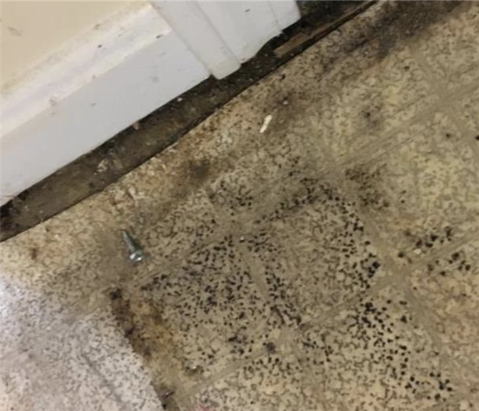 mold on tile flooring 
