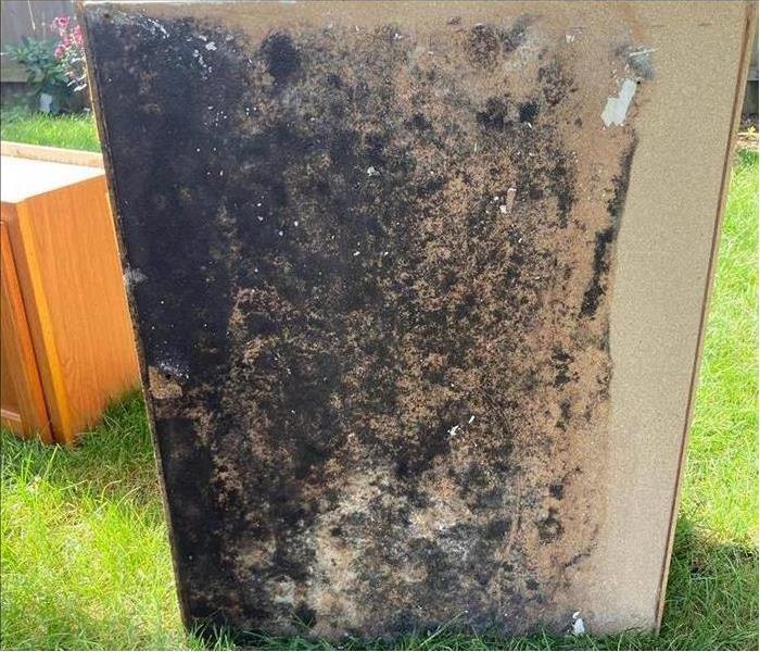 Cabinet on grass with mold growth
